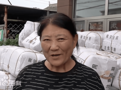 静默守护显担当！村支书张淑云为全村垫付保费暖人心