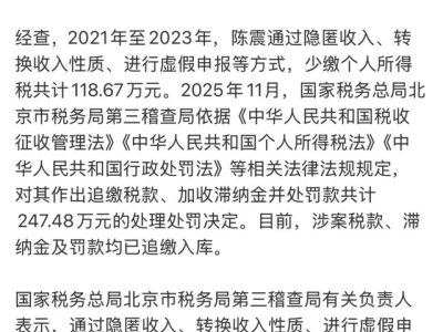车评顶流陈震的“流量狂飙”终翻车:偷税漏税引全网封禁,自食恶果