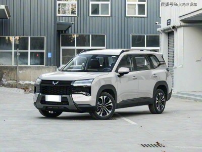 2025款星光560汽油版首发抢订!10万级起售,大空间5或7座灵活布局实用性强