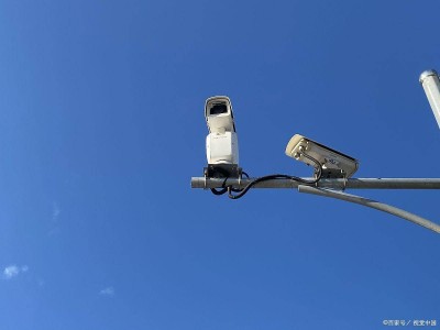 误闯红灯别慌神!掌握这些应对法,保住驾照分还能少罚款