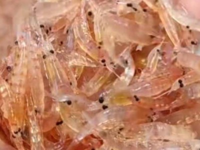 同仁堂“贴牌”南极磷虾油被曝磷脂含量为零，消费者选购需擦亮双眼