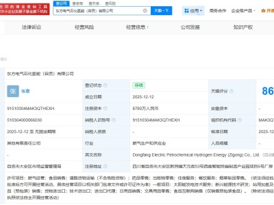 东方锅炉、中石化销售公司等成立氢能公司 注册资本8780万
