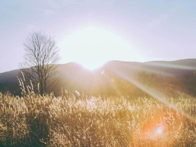 AI赋能材料研发:从漫长试错到高效创制,开启科学新篇章