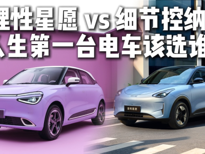 人生首台电车怎么选?纳米01细节贴心,星愿均衡,哪款更合你心意?