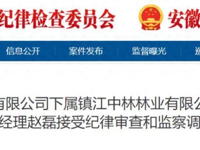 中国林业集团下属公司原董事长、总经理赵磊正接受纪律审查和监察调查
