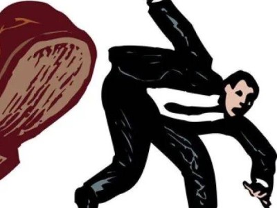 贵州百灵连续多年财务造假被罚 千万罚单与市场禁入彰显监管“零容忍”