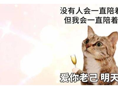 "老己"成年轻人新宠：从自嘲到自爱，开启温暖自我关怀之旅