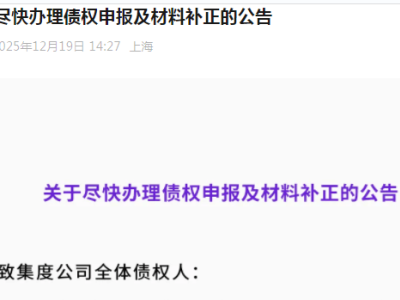 极越汽车启动预重整程序 发布债权申报指南助力债务妥善处理