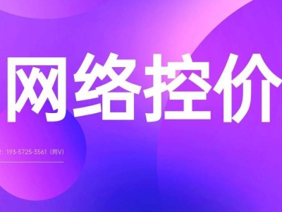 线上产品控价难题如何破？四大策略构建品牌价格防护网