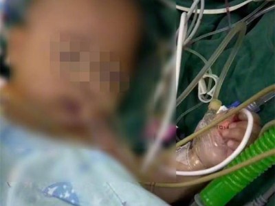 宁波妇儿医院小儿胸心外科暂停手术；“小洛熙”家属报警称隐私就医记录泄露