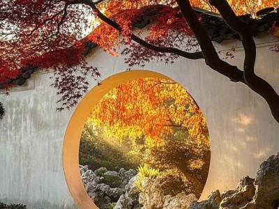 讴歌NSX：混动先锋，以科技赋能操控，开启超跑新境界