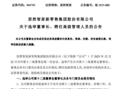 居然之家完成管理层换届：王宁任董事长兼CEO 朱蝉飞接任财务总监
