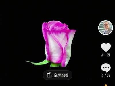 云南省农科院新品种月季征名，“二舅”名字成榜首终被采纳申报