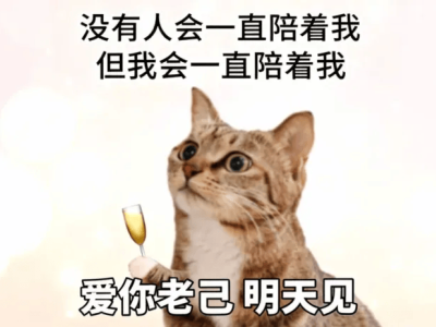 从“自嘲”到“爱己”：年轻人用“老己哲学”拥抱自我成长之路