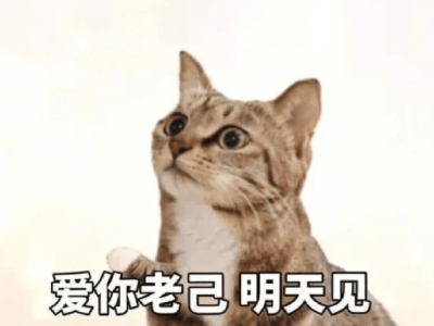 从“自嘲”到“爱己”：年轻人如何在和解中拥抱自我？