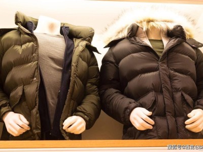 冬季保暖选羽绒还是棉服？专家解析场景差异，网友热议性价比之争