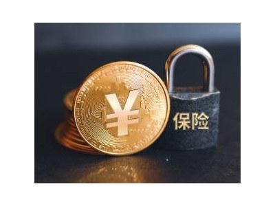 新华保险第九届董事会首会落幕 杨玉成获选担任董事长