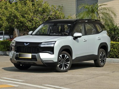 五菱星光560来袭！5.98万起紧凑型SUV，三种动力满足多元代步需求