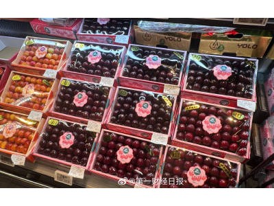 智利车厘子产量大增超九成出口中国,批发商却“量增利减”陷困境
