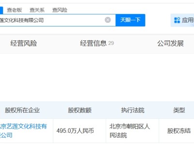李亚鹏被强制执行1381万