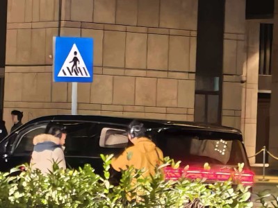 鸿蒙智行智界V9无伪装谍照亮相 家族设计+黑科技打造旗舰MPV