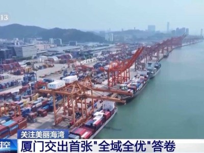 美丽海湾建设成果斐然：“十四五”目标超额达成，绘就人海和谐新画卷