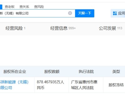 安普瑞斯被冻结878万股权