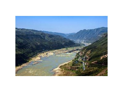 从濒危到重生：极边扁咽齿鱼“死里逃生”的艰难复育路