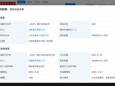 协鑫集团被冻结18亿股权