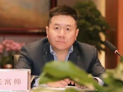 东莞首富新变：38岁张寓帅接棒，本土民企开启新生代传承篇章