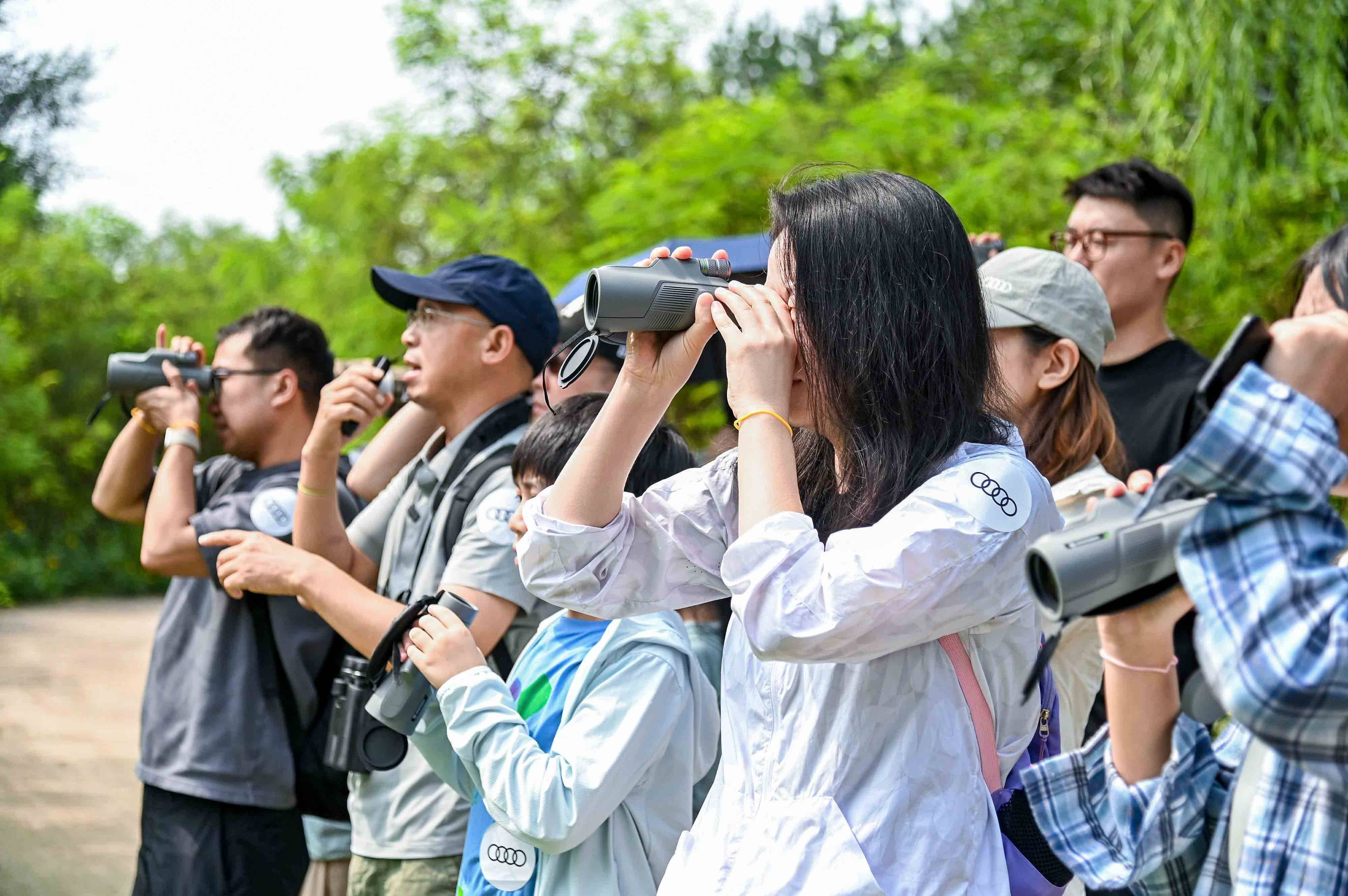 奥迪中国自然城市行动2025城市湿地科普体验活动