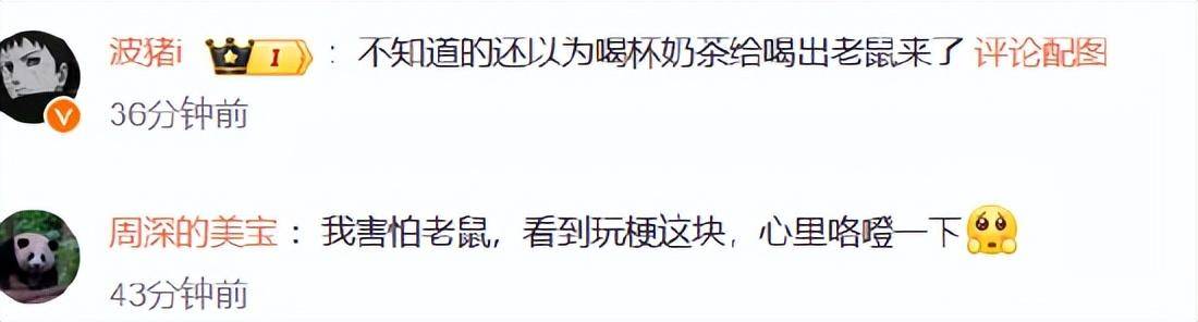网友对蜜鼠冰城的正面评价
