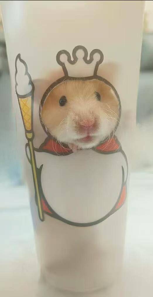 网友对蜜鼠冰城的担忧