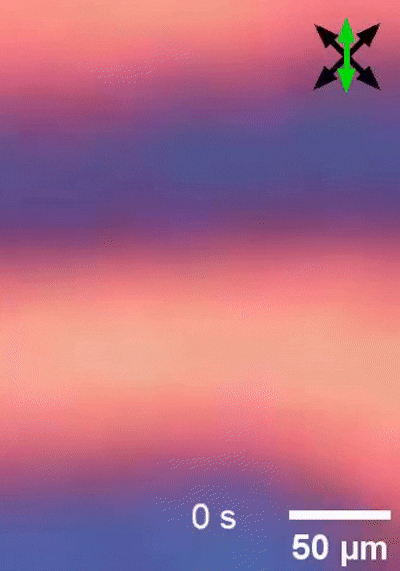动态时间晶体示意图