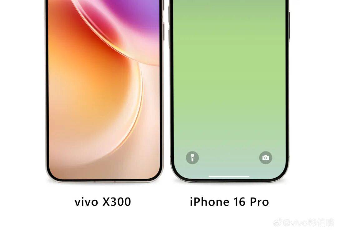 vivo X300屏幕