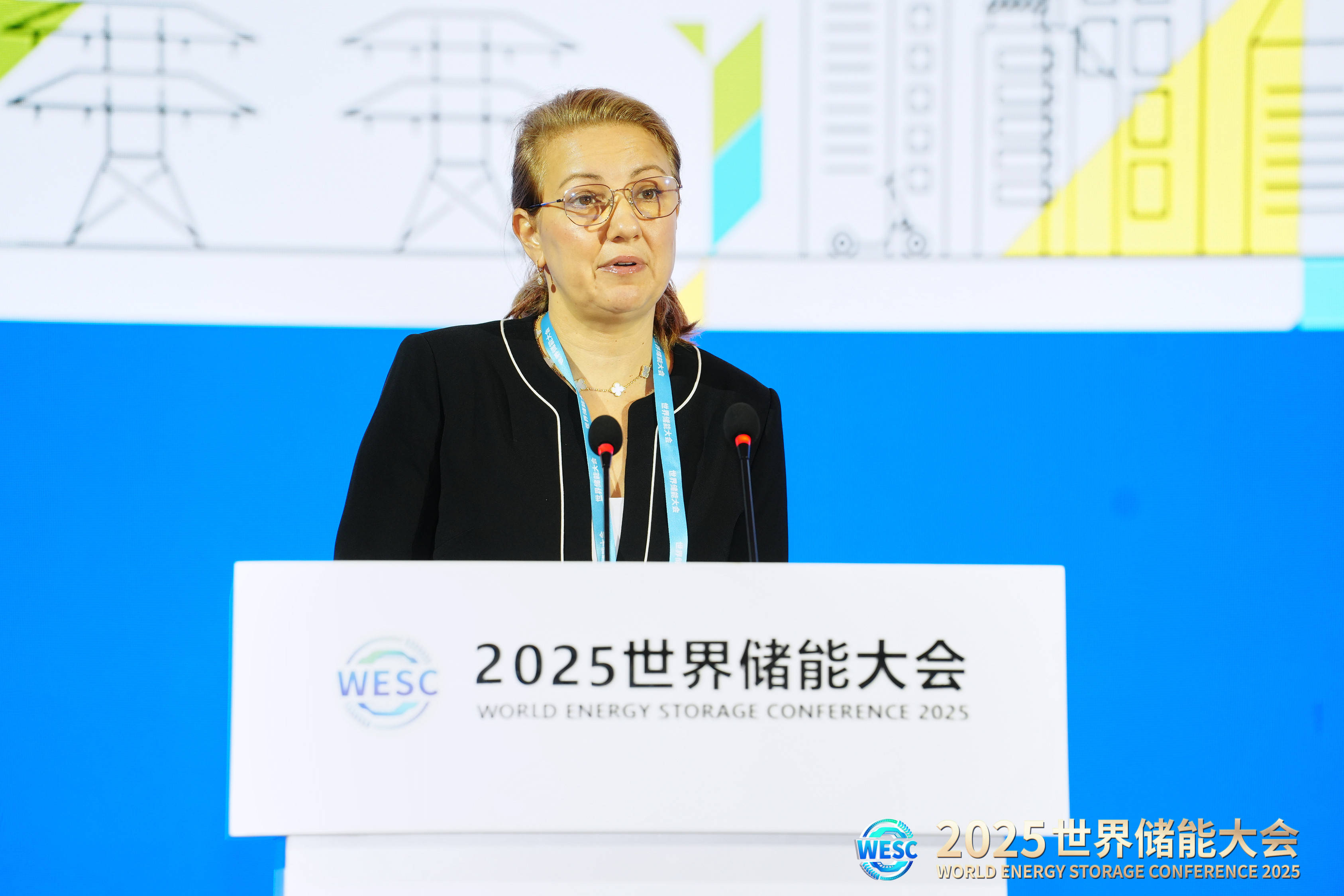 2025世界储能大会现场