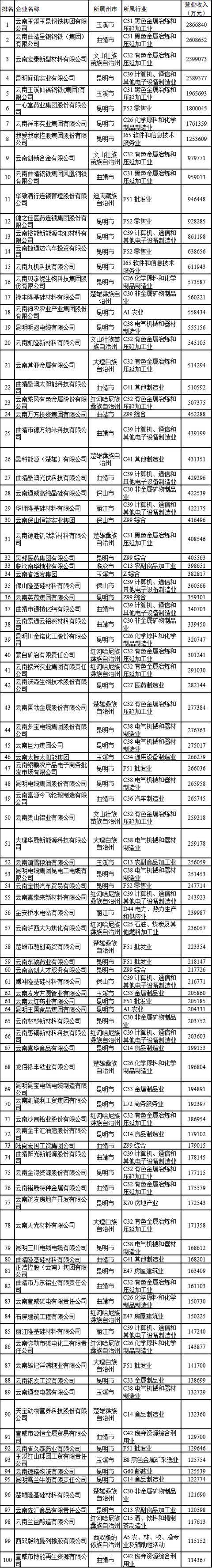 云南省民营企业100强榜单