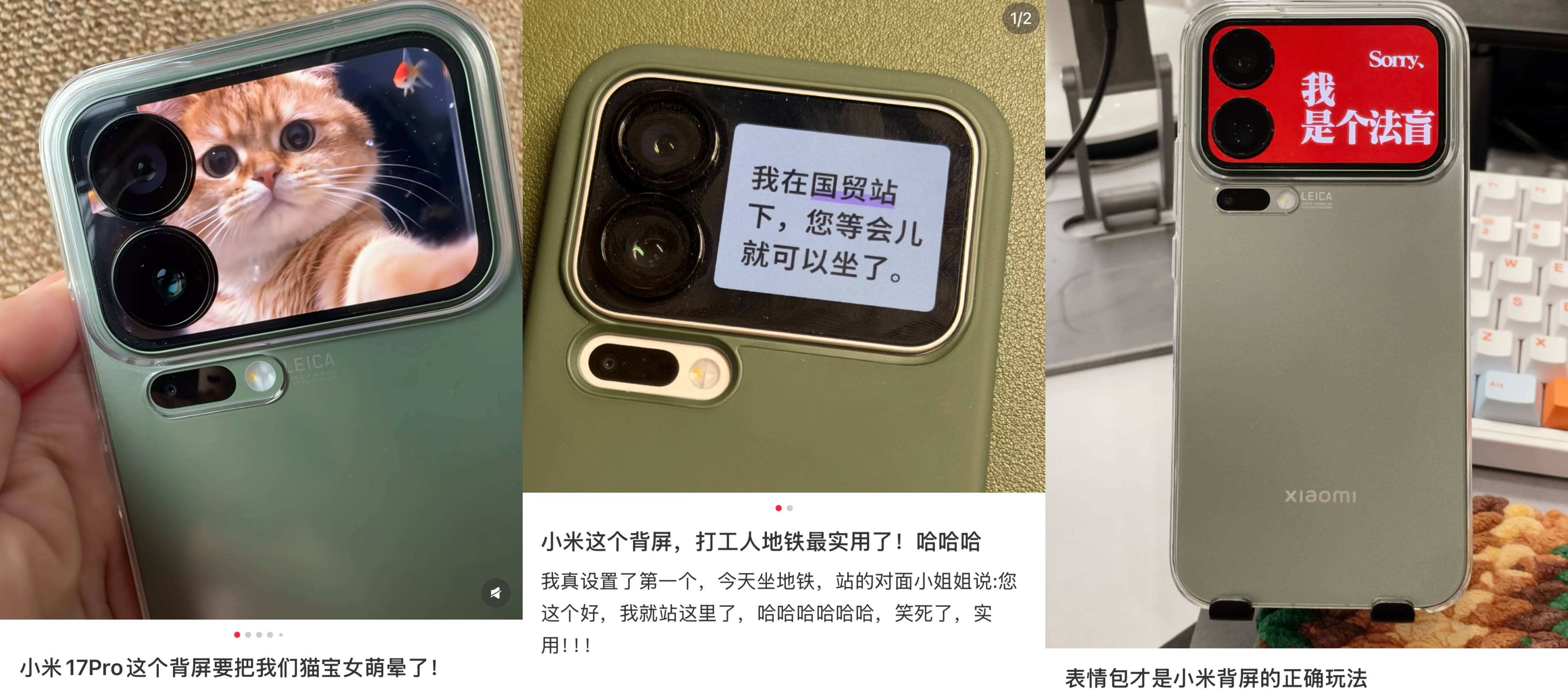 用户展示背屏个性化设计