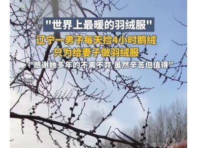 辽宁鞍山男子每日捡鹅绒数小时 亲手为妻制衣：感恩相伴，辛苦也甜