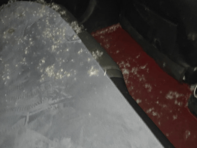 羽绒服乘车时“炸”成“蒲公英”？司机变毛茸茸，这些行为易致其“炸裂”