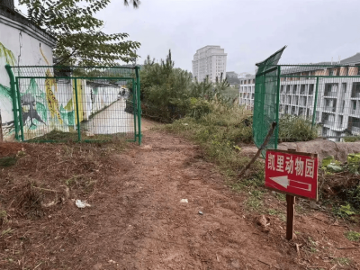 深山“寒酸”动物园逆袭：二十元门票十年未涨，温情守护动物乐园