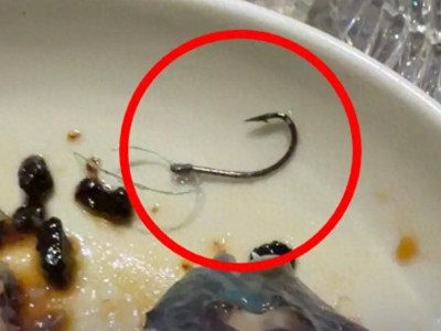 上海米其林餐厅“遇外滩”现鱼钩鱼线，消费六千余元后餐厅免单致歉