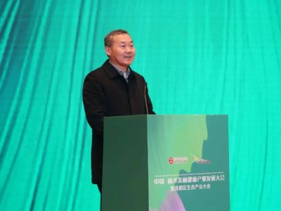 20.5亿项目落地莲都 新能源汽车核心赛道再添强劲“引擎”