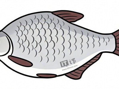 科研突破！我国科学家攻克鱼类肌间刺难题，无刺武昌鱼草鱼两年内或上餐桌