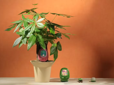 把植物养育成电子宠物?Senso用AI让园艺变身趣味互动新体验