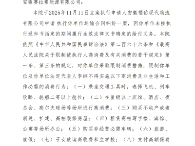 赛拉弗“限高”背后：光伏行业产能狂飙后的资金链之困