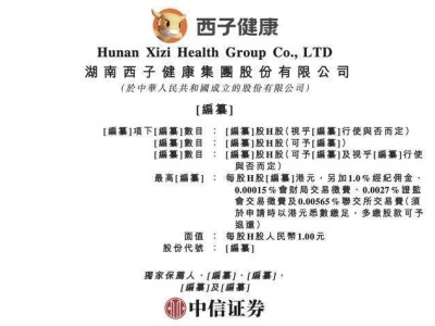 西子健康冲刺港交所上市 85后董事长刘健伟股权代持往事引关注