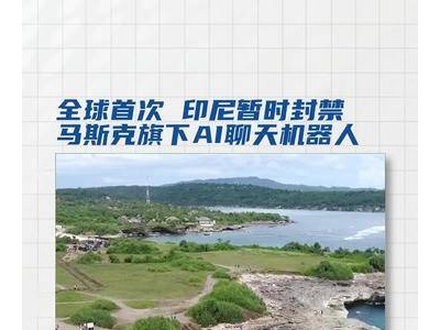 全球首例！印尼对马斯克旗下AI聊天机器人实施暂时封禁措施