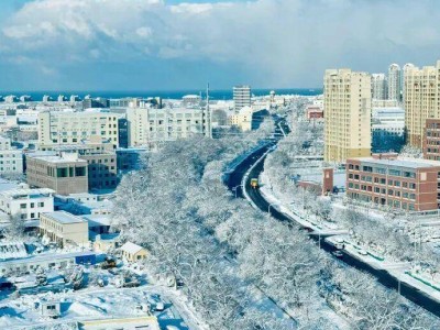 威海“雪窝”再迎暴雪：冷流雪频发，城市应对与自然挑战并存