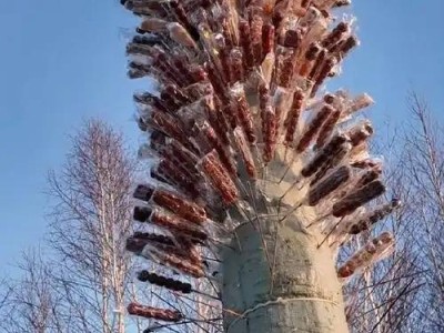 锡林郭勒盟冰雪节启幕：5米牛肉串配3米糖葫芦树，尽显草原豪情！